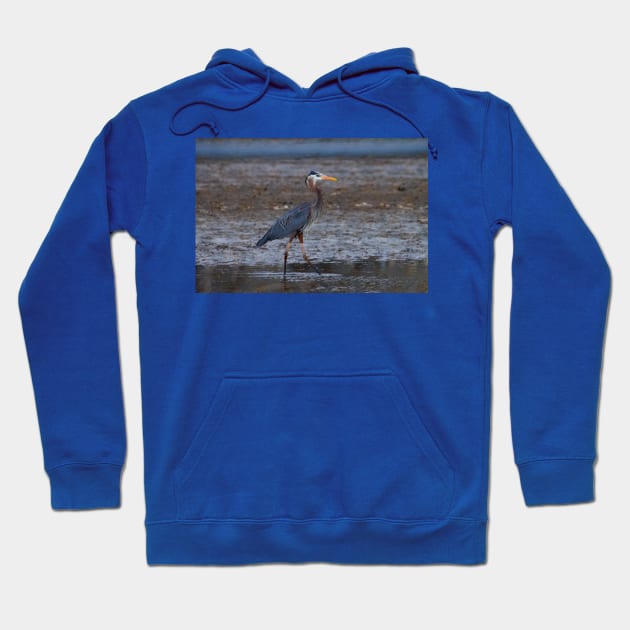 great blue heron fishing Hoodie by FlyingLilly